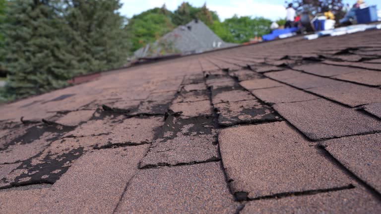  Dunlap, IL Roofing Service Pros