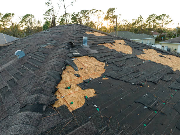 Best Metal Roofing Installation  in Dunlap, IL